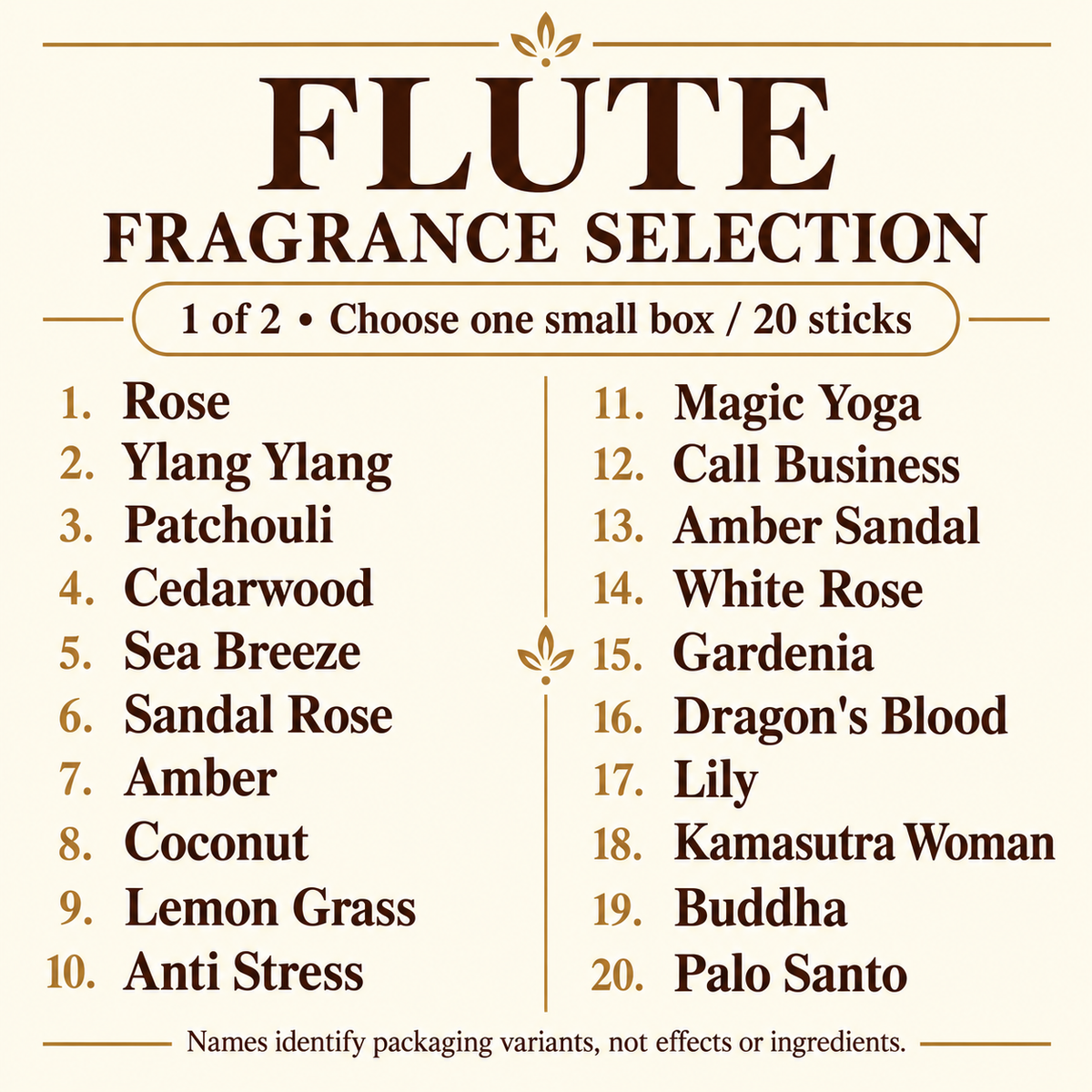 Flute guide1 information